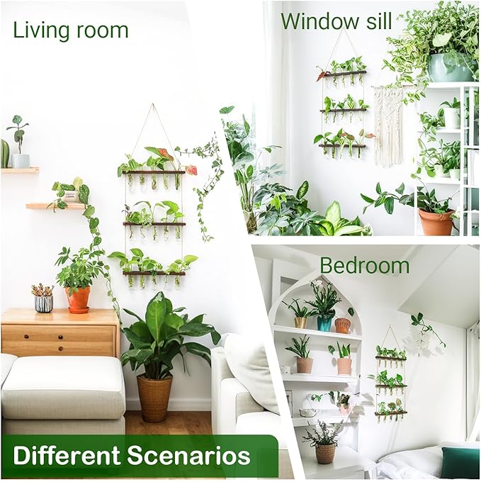 Ivolador Hanging Plant Propagation Tubes,3 Tiered Wall Hanging Terrarium Flower Planter Vase for Hydroponic Plants Cutting Home Office Garden Decor Plant Lover Gift