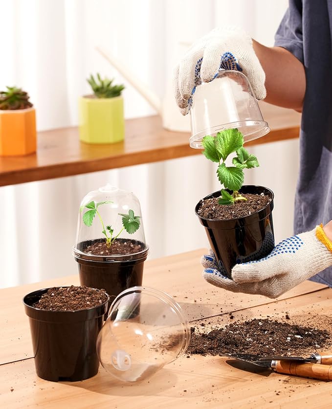 homenote Nursery Pots for Plants,3/4/5 Inch Plant Pot for Planting with Humidity Domes Plastic Seedling with Drainage Holes Seed Starter Flower with 10 Labels Black (15 Pack)