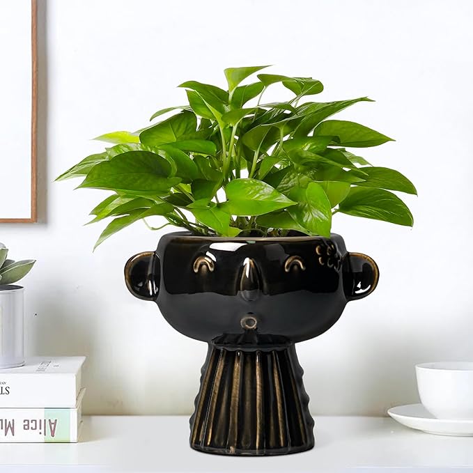 Head Planter 7 Inch - Ceramic Face Planters with Drainage Hole, Funny Succulent Pots for Indoor Outdoor, Cute Decorative Plant Pot, Desk Office Room Home Decor, Black