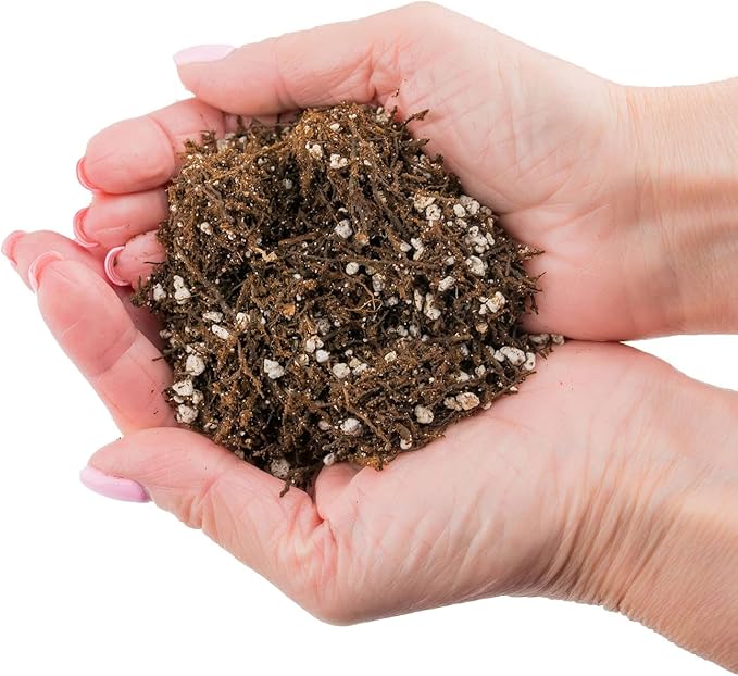 Fern + Perlite Soil Mix for Repotting and Planting Succulents and Cactuses - 2 Quart Bag