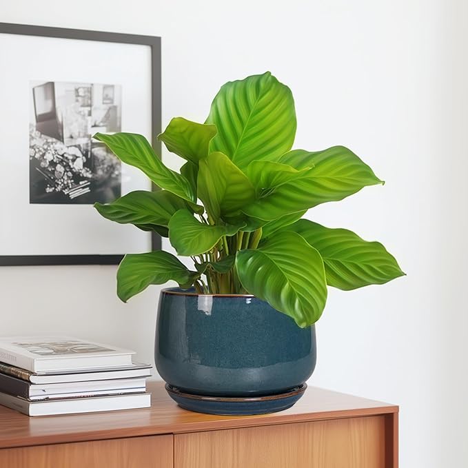 G EPGardening Ceramic Pot for Plants - Modern 7 Inch Round Planter with Drainage and Tray Indoor Outdoor for Flower, Porch Decor, Gardening Gifts, Retro Blue