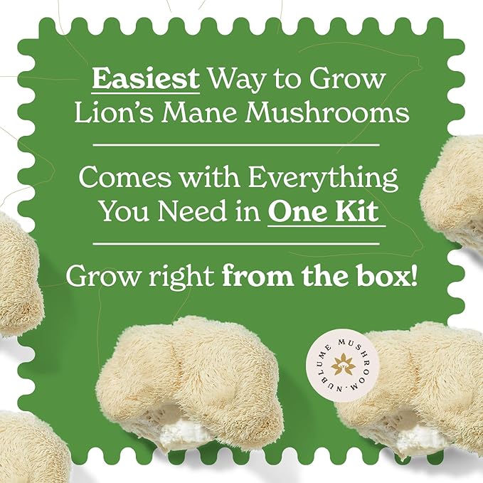Lion's Mane Mushroom Grow Kit | Grow Your Own Fresh Gourmet Mushrooms at Home | Edible Indoor Mushroom Growing Kits Great Gift