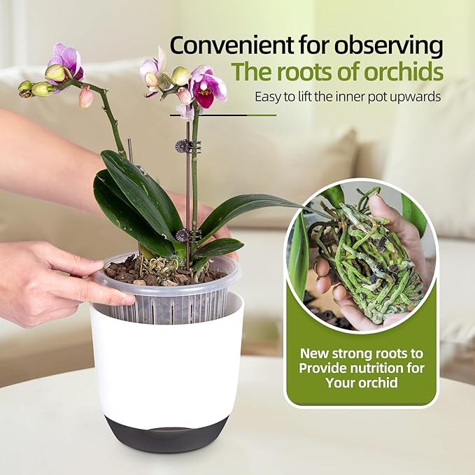 QCQHDU 2 Pack Orchid Pots with Holes for Repotting, Double-Layer and Self Watering Orchid Pot with Good Air Circulation