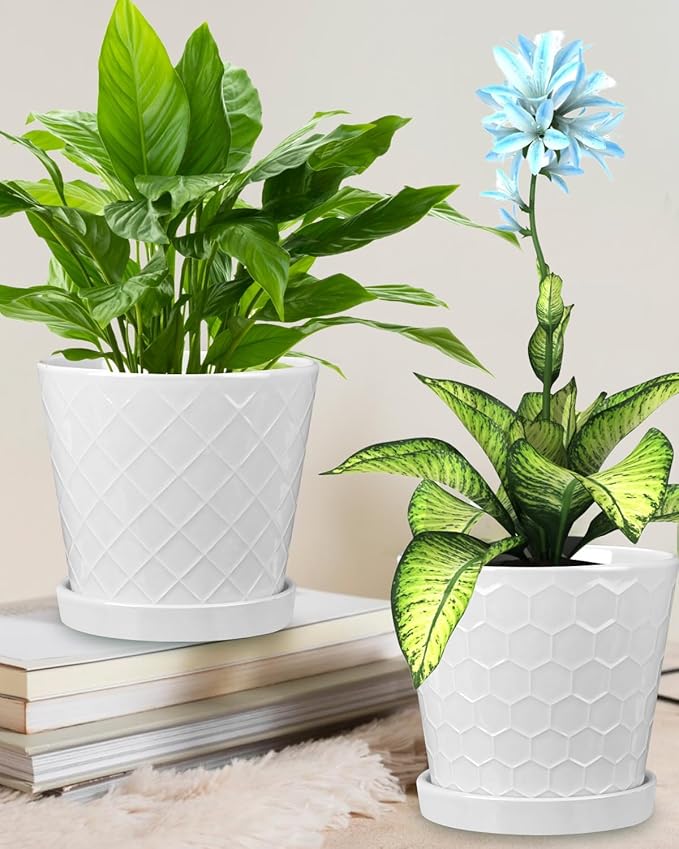 EFISPSS Ceramic Plant Pots, 6 Inch Pots for Indoor Plants, Planters with Drainage Hole and Saucer, Flower Pots Desktop Office Windowsill Decoration Gift Set of 2 - White