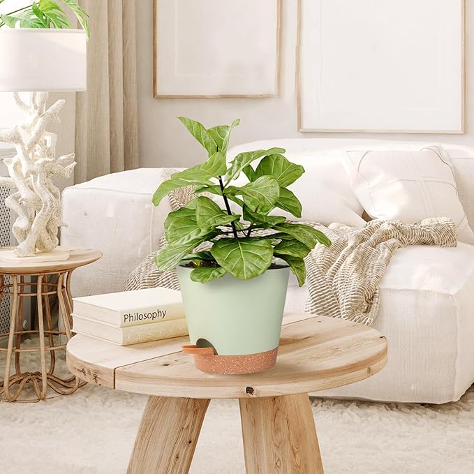 Self Watering Pots, Flower Planting Pots for Indoor Outdoor Plants, African Violet, Flowers, Succulent,Cactus Plant Pots with Drainage Holes Green Plastic Pots Gift Idea For Lazy people House Decor