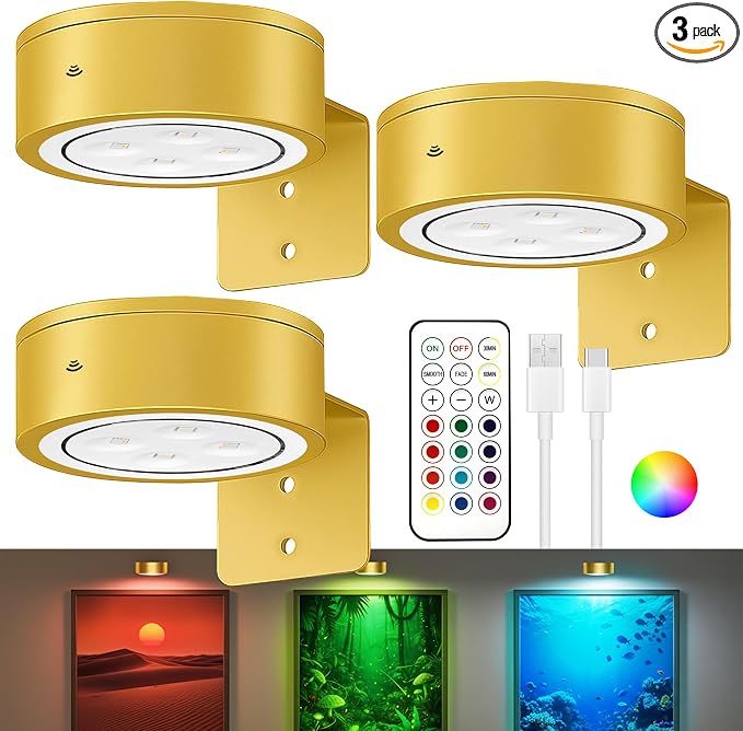 3-Pack Picture Lights for Wall, 13 RGB Color Changing Led Art Display Light by Kandicyar