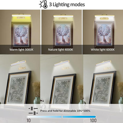 MIOBLUE Rechargeable Picture Light - Image 5