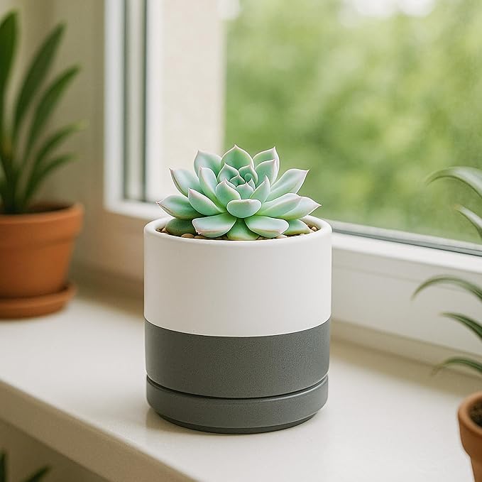 D'vine Dev 3.5 Inch Ceramic Planter Pot with Drainage Hole and Saucer, Indoor Cylinder Round Planter Pot, White/Speckled Grey, 94-O-A-6