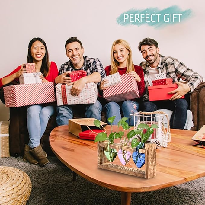 Plant Terrarium Propagation Stations Hydroponics Home Garden Decoration Gift for Women with Wooden Stand Heart Shaped Colored Glass Vase