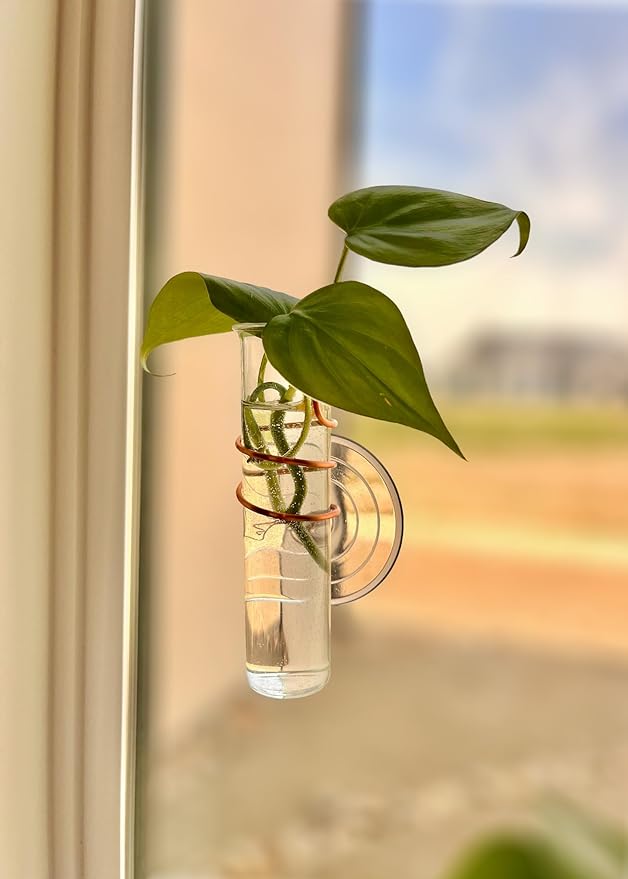 The Little Window Propagator- Window Plant Propagation Station with Removable Glass Test Tubes, Indoor Clippings, Cut Flowers, Herbs, Succulents | Home Decor | Plant Lover Gift