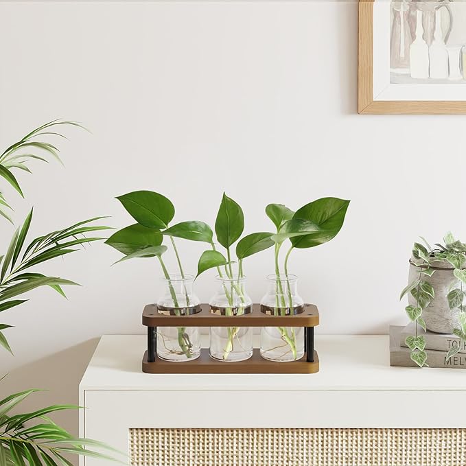 THYGIFTREE Plant Propagation Station with Wooden Stand, Propagation Vases Glass Planters for Indoor Plants Hydroponic Propagating Jars Home Office Decor, Brown