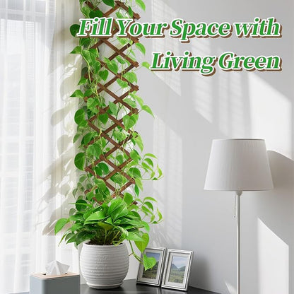 2Packs 13x78in Expandable Wood Wall Trellis - Image 4