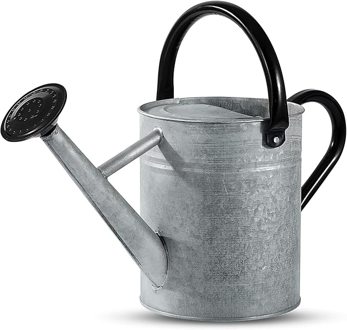 1 Gallon Watering Can for Plants, Watering Cans for Indoor&Outdoor Gardening, Galvanized Steel Watering Pot with Removable Spout, Metal Water Can with Ergonomic Movable Handle(Rustic Silver)