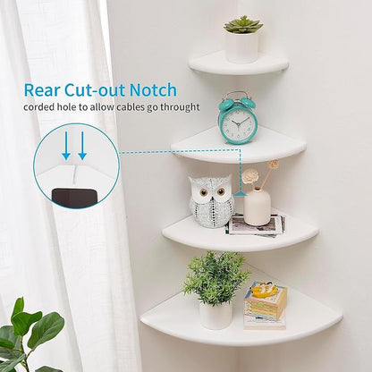 Corner Shelf, Round End Wall Mount Display Shelf - Image 2