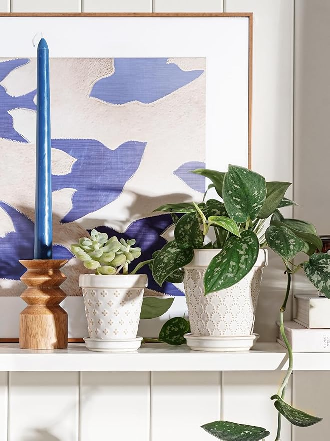 LE TAUCI Ceramic Succulent Pots, 4 Inch Small Plant Pot for Indoor Plant Cactus, Embossed Flower Pots with Drainage Hole & Saucer - Set of 4, Arctic White