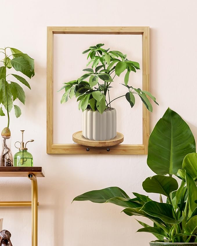 yadoker Wall Planters for Indoor Plants,Bamboo Hanging Plant Holders, Wall Decor Plant Stand, 2-Pack Window Plant Shelves for Living Room & Entryway
