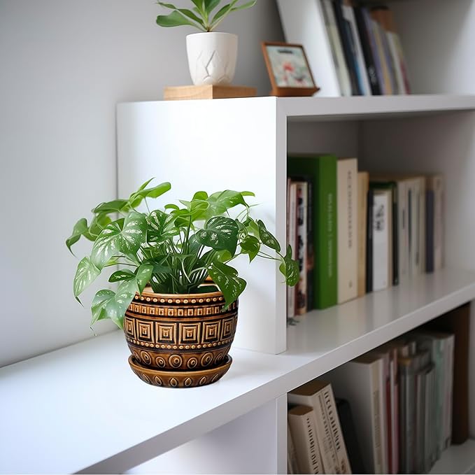 G EPGardening Succulent Pot 5.5 Inch - Ceramic Plant Pot for Indoor Plants Outdoor, Round Boho Planter with Drainage Hole and Saucer, Gifts for Plant Lovers, Office Home Garden Decor, Brown