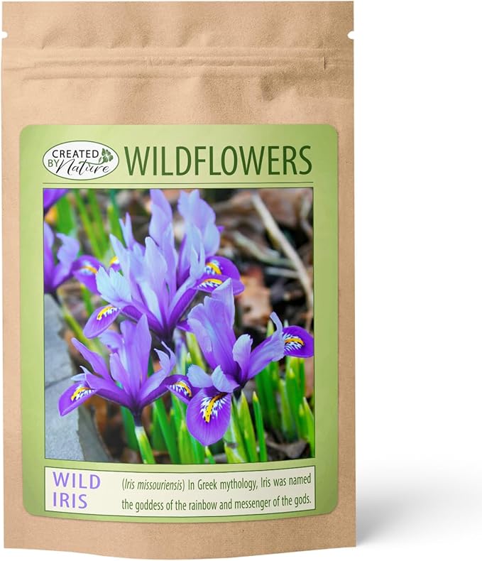 Wild Iris (Iris missouriensis) Seeds | 400+ Non-GMO Wildflower Seeds for Pollinators, Perennial Flowers for Meadows, Gardens