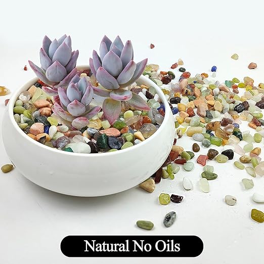 2LB Colorful Pebbles for Succulent, 3/8 Inch Natural River Rocks for Plants, Natural Decorative Polished Pebbles for Cactus,Vases, Planters,Outdoor Gardening and Indoor Plants