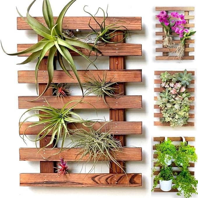 ShopLaLa Wall Planter – Wooden Air Plant Succulent Holder Hanger Indoor Outdoor, Live Orchid Wall Wood Display Frame Vertical Garden Balcony Deck Bathroom Macetas Para Plantas De Aire 15.7" (40cm)