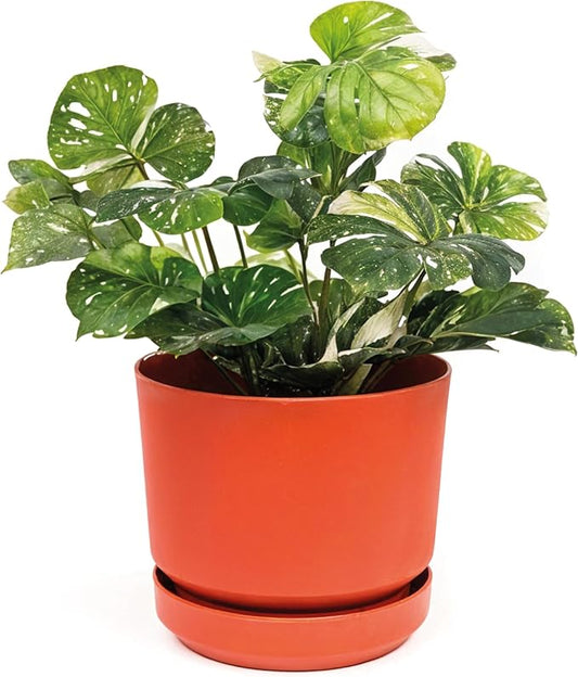 Elly Décor 12 inch Plastic Cylinder Planter Pot with Self-Watering Saucer and Drainage Hole,Lightweight & Extremely Durable, 12"x 12", Terracotta