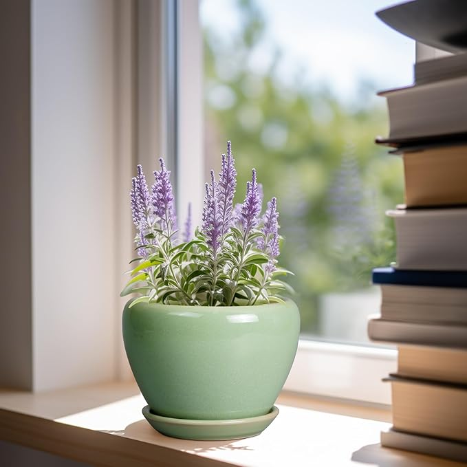 6 Inch Plant Pot - Ceramic Planter for Indoor Plants Round Planter Outdoor Plant Pot with Drainage Hole and Saucer Modern Flower Pot for Succulent Garden Green