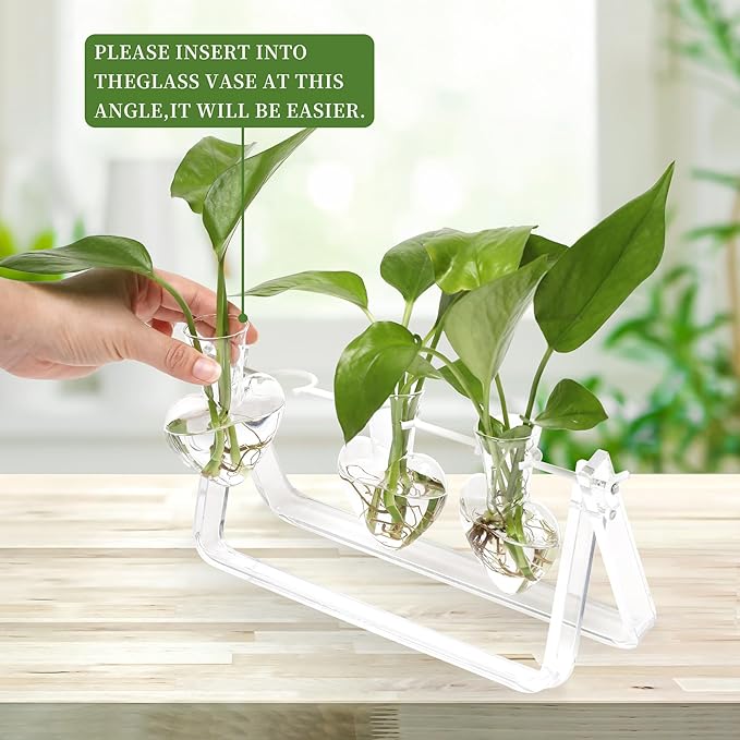 Plant Terrarium Propagation Stations with Acrylic Stand Birthday Gifts for Women Plant Stand Indoor Office Home Decor