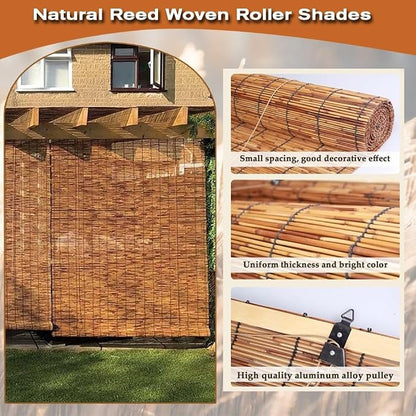 Patio Shades from Bamboo Outdoor Roll up Shades - Image 2