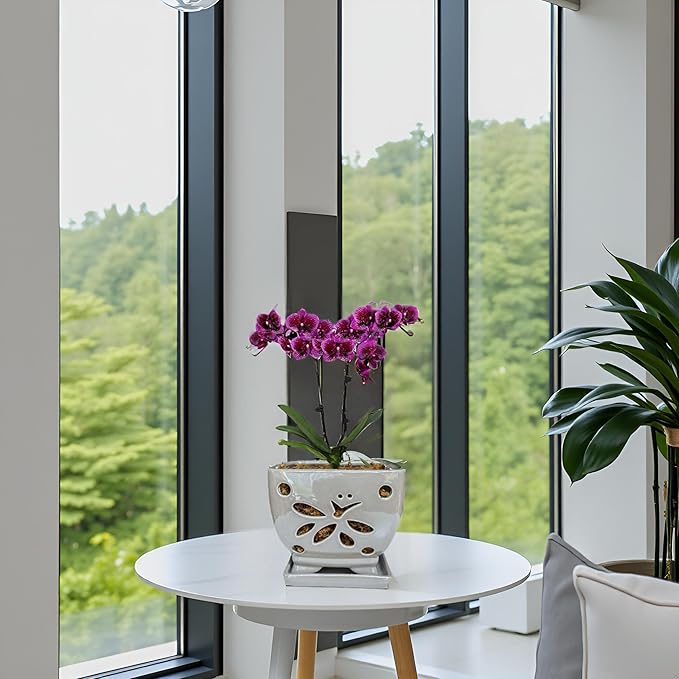 Orchid Pots with Holes Square Ceramic Orchid Planter Pots 5.5 inch (Gray)