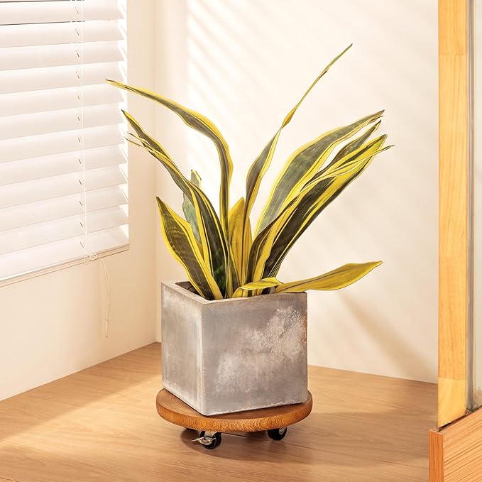 Yangbaga 2Pack 12inches Tree Plant Stand with Wheels,Rolling Plant Caddy with Wheels Heavy Duty- Plant Rollers with Lockable Casters for Outdoor /Indoor/Plant Pot/Flower Pot/Patio