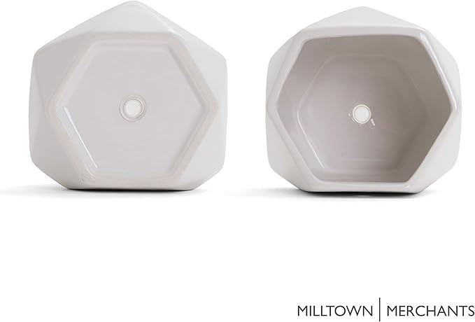 Milltown Merchants Succulent Wall Planters - White Ceramic Mounted Planters - Succulent Pots - Hanging Vases for Living Wall (1 Pack/Geometric/White)