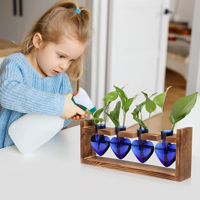 Plant Propagation Stations Heart Plant Terrarium Kit Gift for Women Plant Lover Glass Vases
