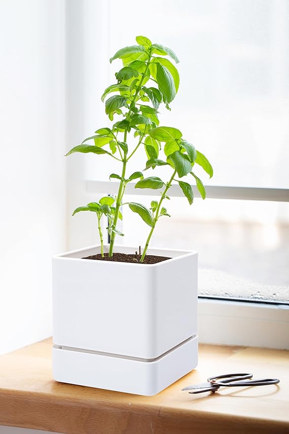 4 Inch Herb Planter Pot, Plastic Planter with Drainage Holes and Saucer, Modern Decorative Gardening Pot for Indoor Plants, Flowers, Herbs, Succulents, White, Set of 2, 76-Y-A-2