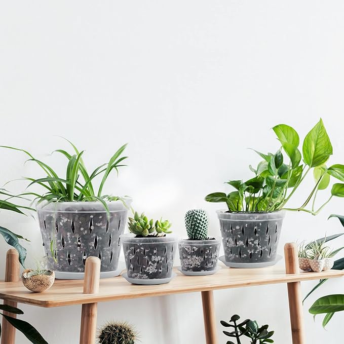 Orchid Plants- 2 Each of 4, 5, 6 and 7 inch- 8 Sets with Saucers, Orchid Pots with Holes and Clear Plastic Orchid Pots for Repotting