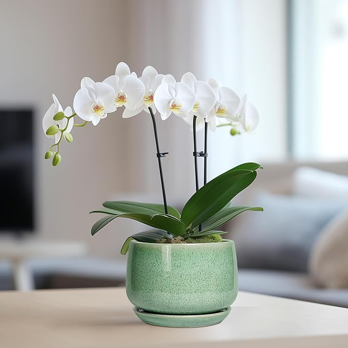 G EPGardening Ceramic Pots for Plants - 6 Inch Plant Pot with Drainage Hole and Saucer, Modern Ceramic Planter for Indoor Outdoor, Round Flower Planter, Gifts for Plants Lovers, Home Decor, Green