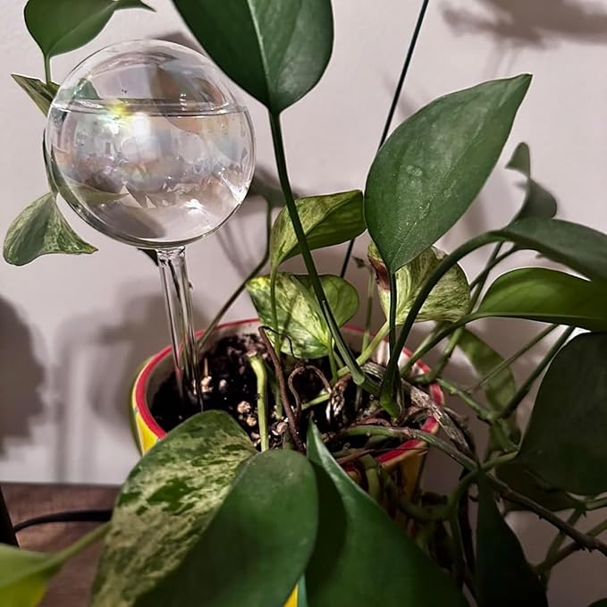Plant Watering Globes, 6PCS Iridescent Rainbow Gradient Color Clear Glass Bulbs Self Watering Spikes Planter Insert, Automatic Plant Waterer Bulbs Devices for Various Plants