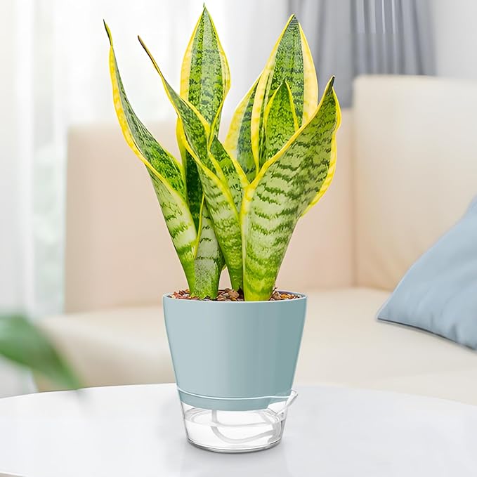 Hayder Plant Pots 6 inch Set of 6, Self Watering Flower Pots Indoor Outdoor, Self Watering Planters with Drainage Hole & Clear Saucer Reservoir