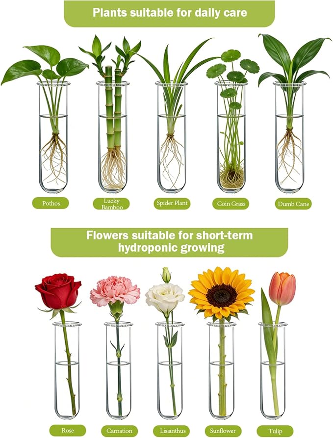XXXFLOWER Wall Hanging Propagation Station - Image 6