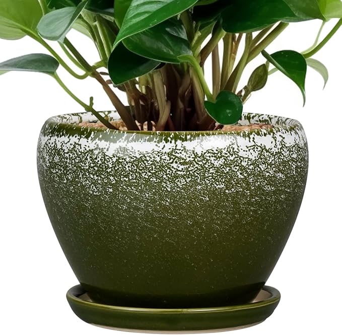 6 Inch Plant Pot - Ceramic Planter Pot with Drainage Hole and Saucer, Glaze Succulent Pot Modern Round Flower Pot for Indoor Plants, Dark Green