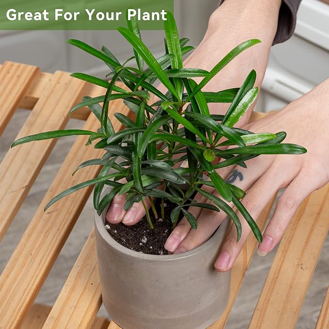 Ekirlin 3.5 in Plant Pot Indoor - Grey Cement Planters with Drain Hole, Removable Rubber Stopper, Non-Slip Soft Pad - Concrete Planter for Most Indoor Plants and Flowers