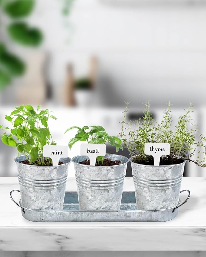vensovo Indoor Herb Planter Set - Galvanized Windowsill Garden Pots with Tray & Drainage, Set of 3 Metal Window Planters for Kitchen & Outdoor Use, Silver
