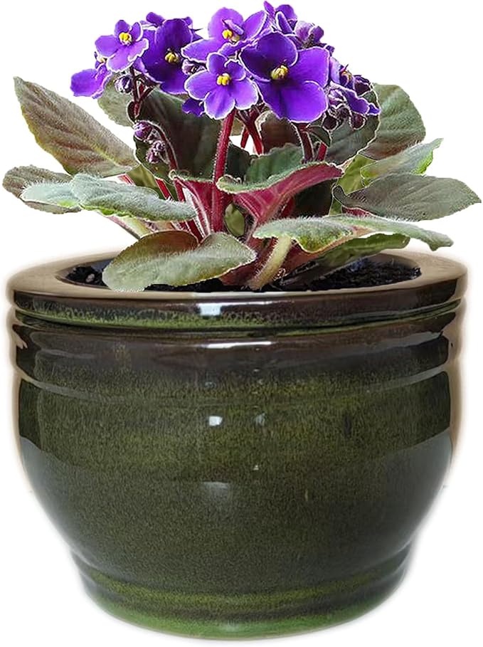 African Violet Pots Self Watering Round Ceramic Violet Pot (Olive drab, 6 inch)