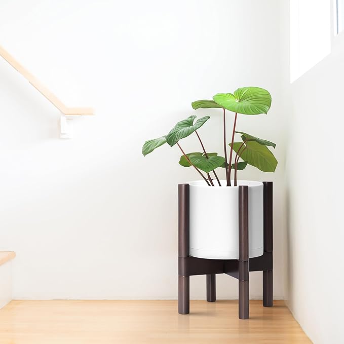 D'vine Dev Planter Pot with Stand - 8 Inch Plastic Cylinder Flower Pot with Wood Planter Holder for Indoor, Matte White Pot + Walnut Color Stand, 55-C-I-1