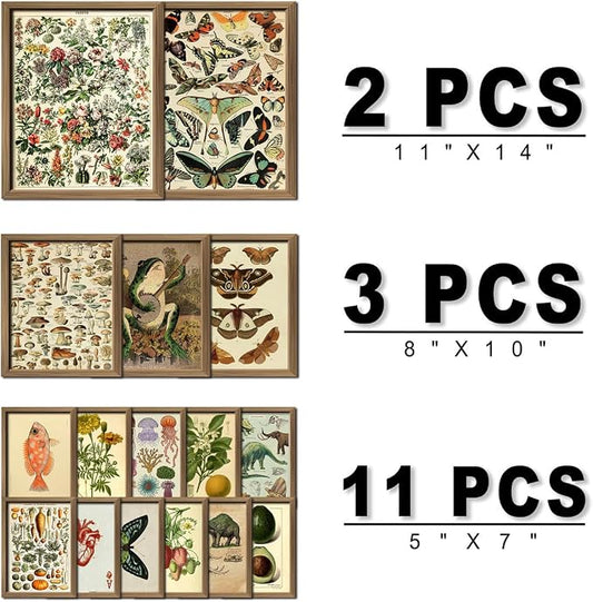ANERZA 16 PCS Framed Vintage Wall Art Decor, Botanical Cottagecore Wall Prints - Image 2