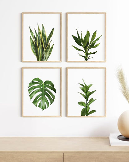 HAUS AND HUES Plant Photo Set of 4-8x10 - Image 4