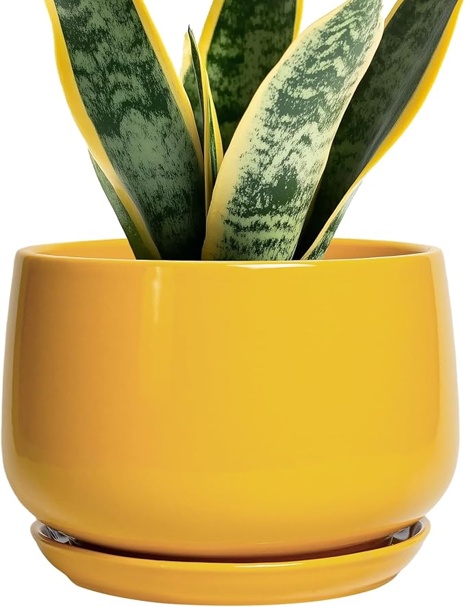 G EPGardening Ceramic Pots for Plants - 7 Inch Plant Pot with Drainage Hole and Saucer, Modern Ceramic Planter for Indoor Outdoor, Round Flower Planter, Gifts for Plants Lovers, Home Decor, Yellow