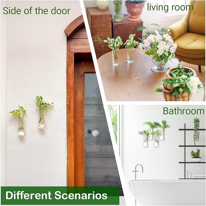 Ivolador Wall Plant Propagation Station Hanging Glass Planter Vase Terrarium Container Cylinder Shape Perfect for Propagating Hydroponic Plants Home Office Garden Decor Wedding-4PCS