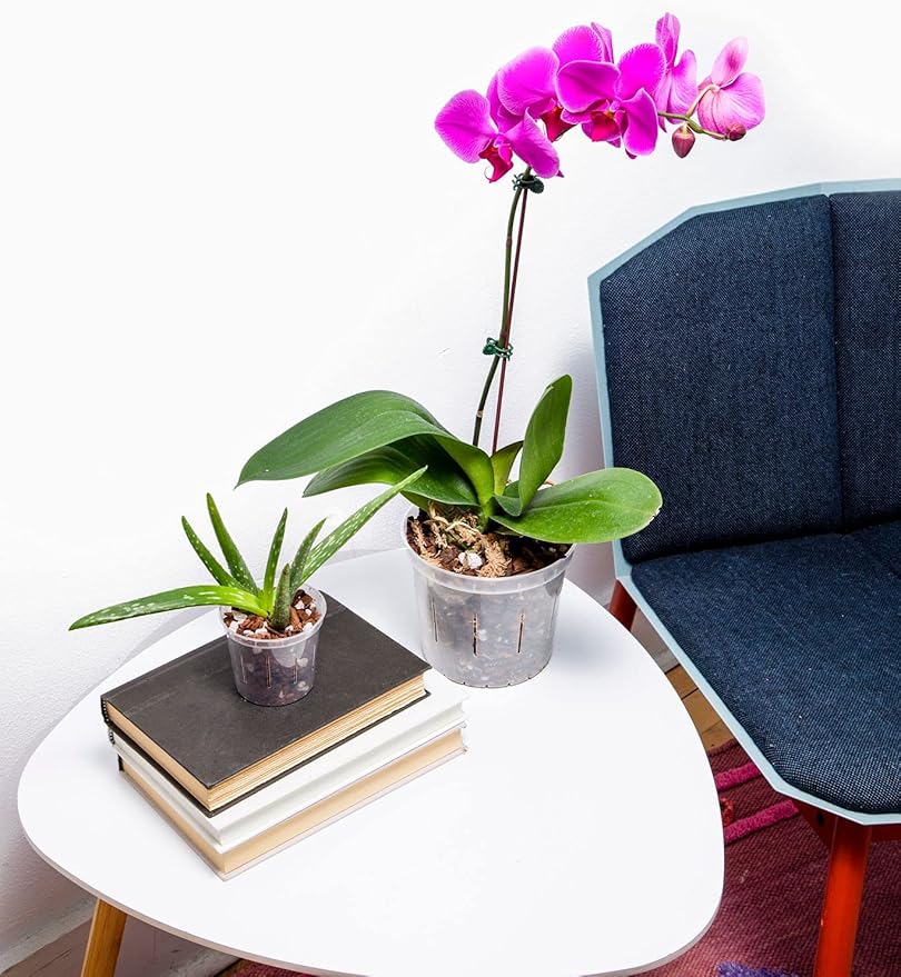 rePotme 3 inch Orchid Pot 3 Pack - Slotted Orchid Pots with Holes for Repotting (Crystal Clear)