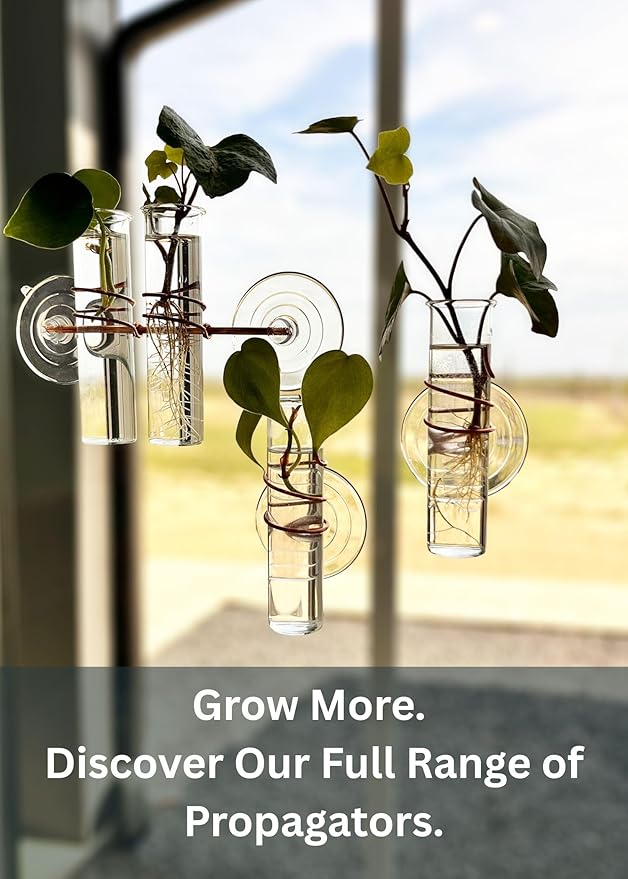 The Little Window Propagator | Window Propagation Station with Removable Glass Tubes, Indoor Plant Clippings, Cut Flowers, Herbs, Succulents | Home Decor | Plant Lover Gift (2)
