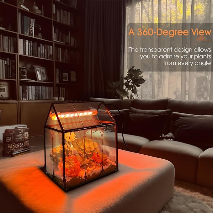 Plant Terrarium with Grow Light, Rifny Indoor House Shape Glass Terrarium Kit with Lid, Small Terrarium Jar Planter for Venus Fly Trap Succulent Live Air Plants Decor for Home Office (Without Plants)